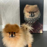 De Hoogheid | Artimal - Huisdier in Uniform