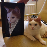 De Graaf - Artimal (3574322004061)