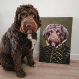 De Nobele - Artimal (3574315253853)