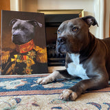 De Veteraan (3574303260765)