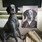 De Admiraal | Artimal - Huisdier in Uniform