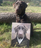 De Admiraal | Artimal - Huisdier in Uniform