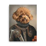 De Zwarte Ridder | Artimal - Huisdier in Uniform