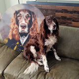 De Admiraal | Artimal - Huisdier in Uniform