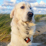 Portret Sleutelhanger - Artimal (3822520565853)