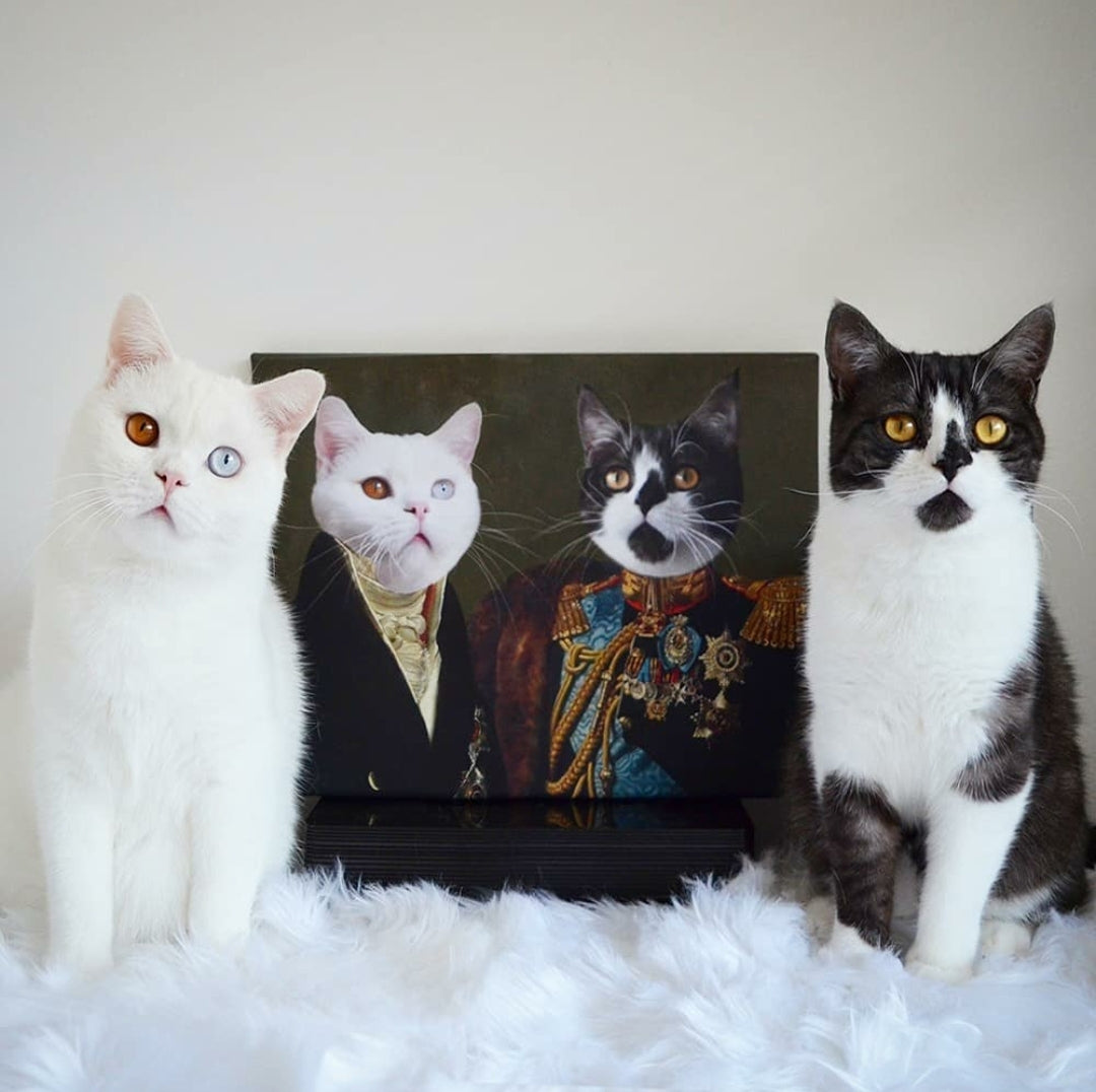 Tweetal - Kostuums naar keuze - Artimal (5265210605727)