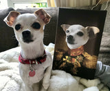 De Veteraan | Artimal - Huisdier in Uniform