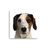 Realistisch portret - Artimal (6179260104863)