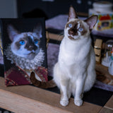 De Hoogheid (5246252712095)