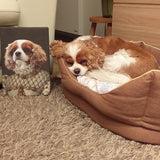 De Prinses - Artimal (3573532622941)