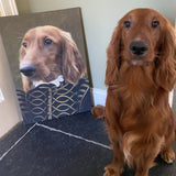 De Nobele (3574315253853)