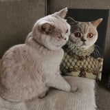 De Prinses - Artimal (3573532622941)