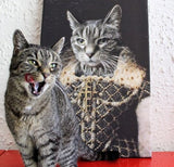 De Koningin - Artimal (3652571431005)