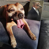 De Ambassadeur - Artimal (3574316466269)