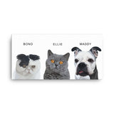 Drietal - Realistisch met naam