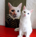 De Nobele - Artimal (3574315253853)